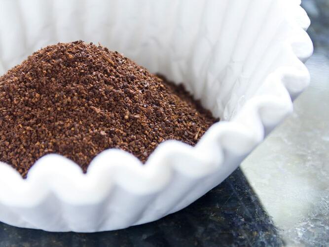 Can Coffee Grounds Repel Ants? Here's What the Experts Say