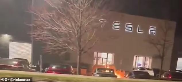 Tesla 'arsonist who torched dealership' is freed from federal custody ...