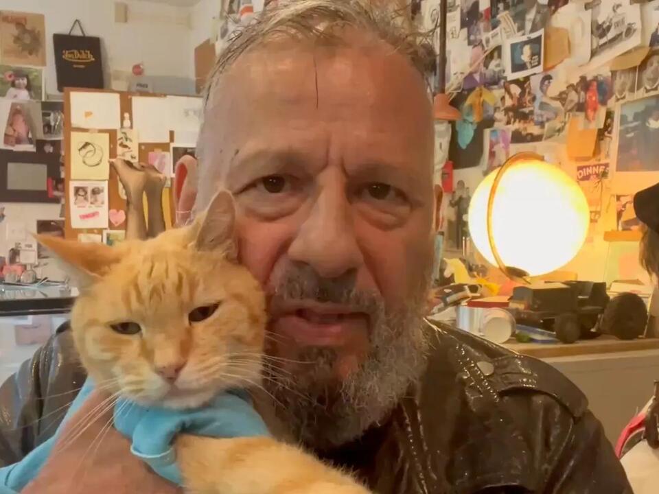 Keyboard Cat Meme Coins Go Legit With Official License