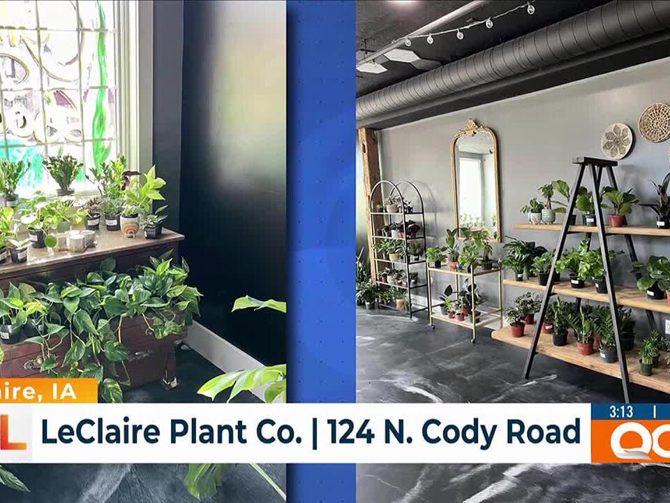 New indoor plant and gift shop opens in LeClaire