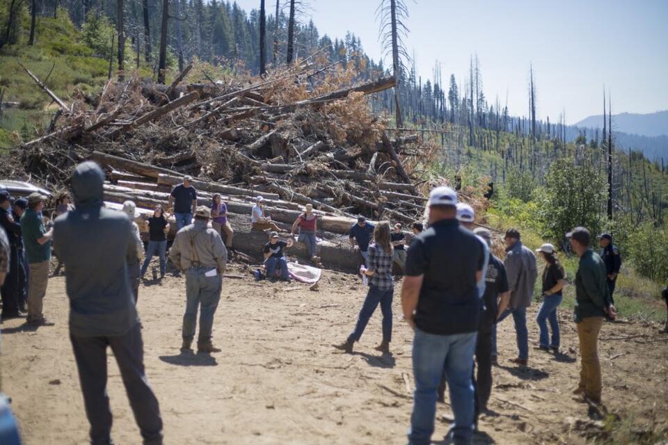 Board of Forestry Field Tour Highlights