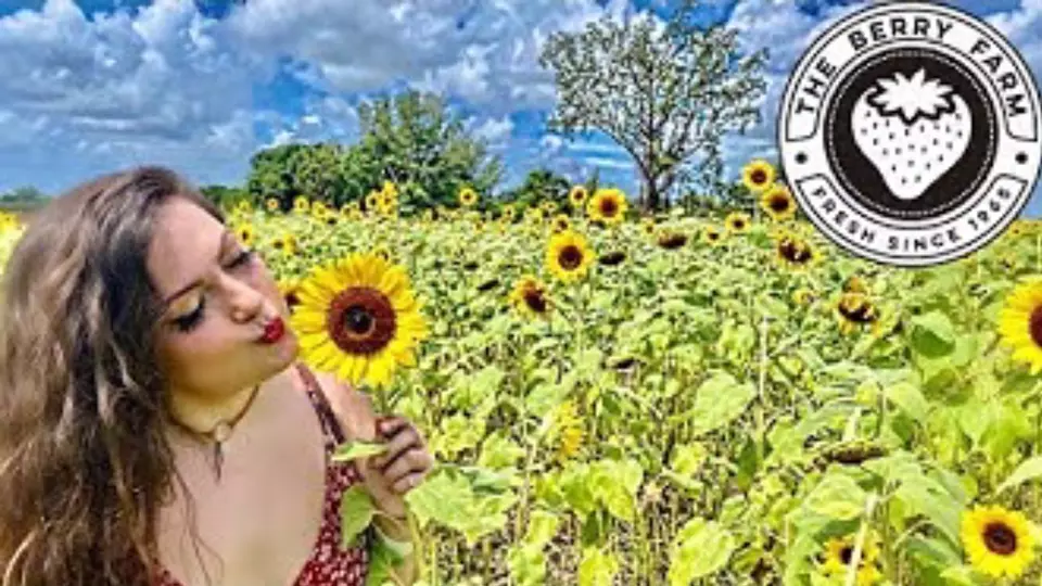 Arriba 29+ imagen burberry farm homestead Abzlocal.mx