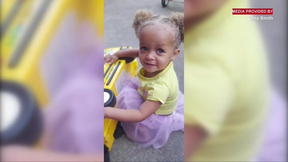 Cincinnati father charged after daughter mauled to death by pet dogs ...