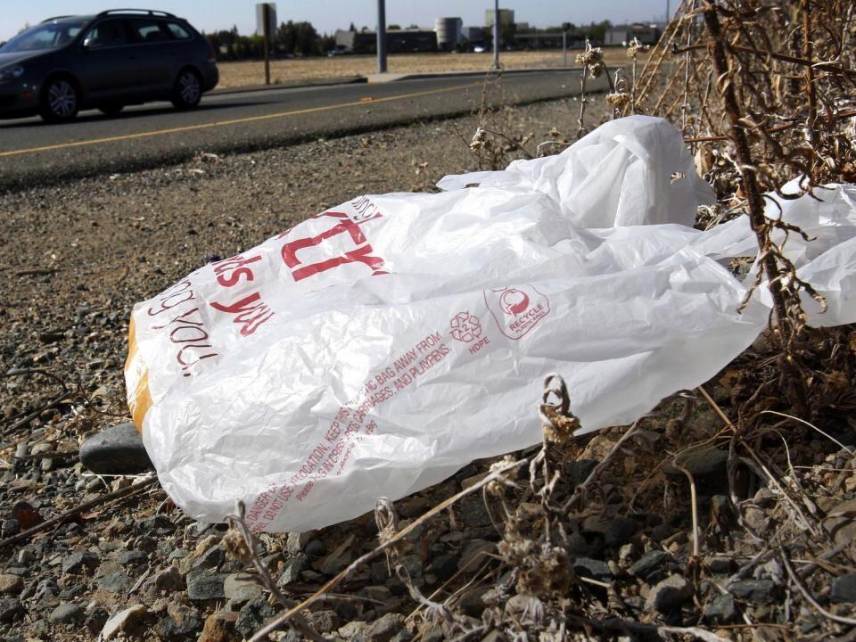California governor signs law banning all plastic shopping bags at