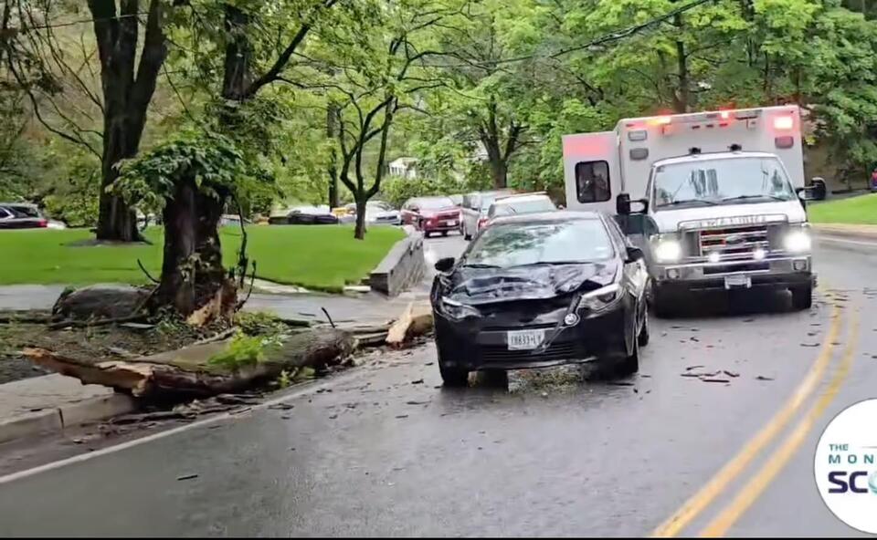 Tree Falls On Moving Car In Monsey - NewsBreak