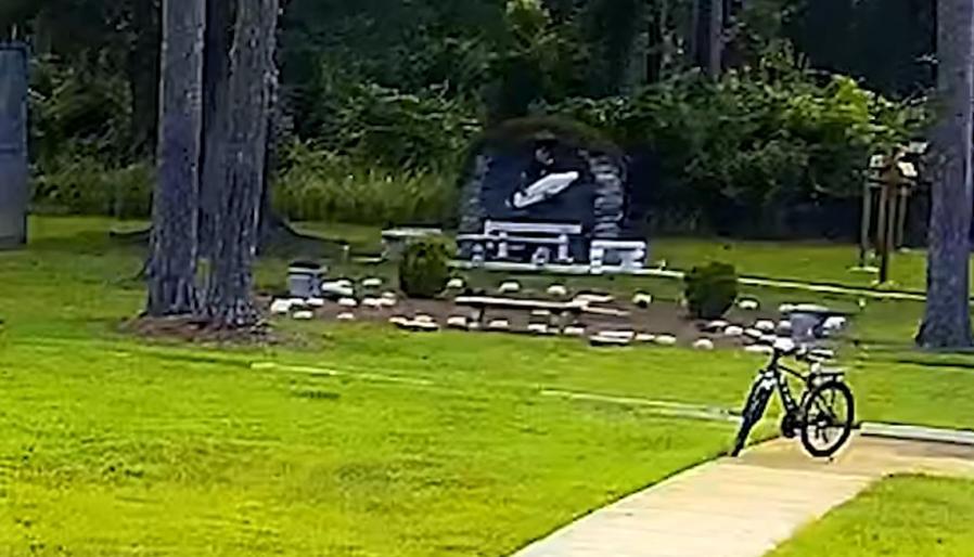 Man caught on camera vandalizing Virgin Mary statue at Florida Catholic church: deputies