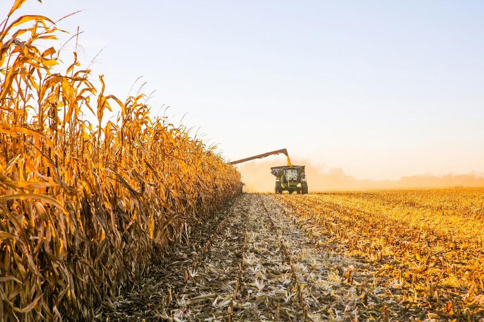 Iowa Farmers Get Diesel Relief During Harvest - NewsBreak