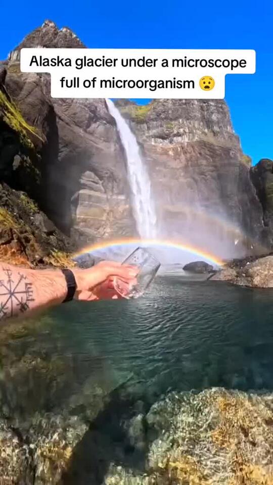 alaska glacier under a microscope full of microorganism alaska ocean
