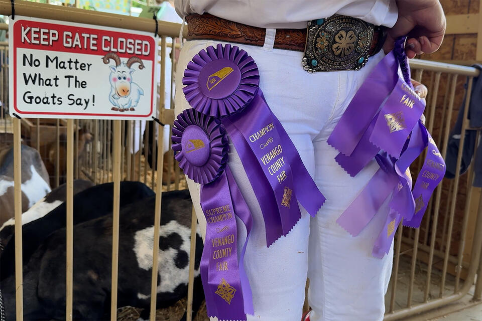 From Dairy Goats to Demo Derbies, Venango County Fair Has a Full Week Ahead