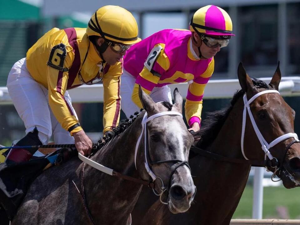 Belmont Stakes 2024 odds, picks, post draw Mystik Dan, Seize the Grey