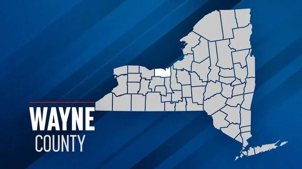 Two men arrested for home invasion, armed robbery in Wayne County ...