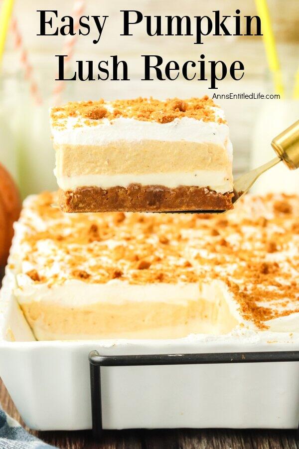 Easy Pumpkin Lush Recipe | Creamy No-Bake Fall Dessert - NewsBreak