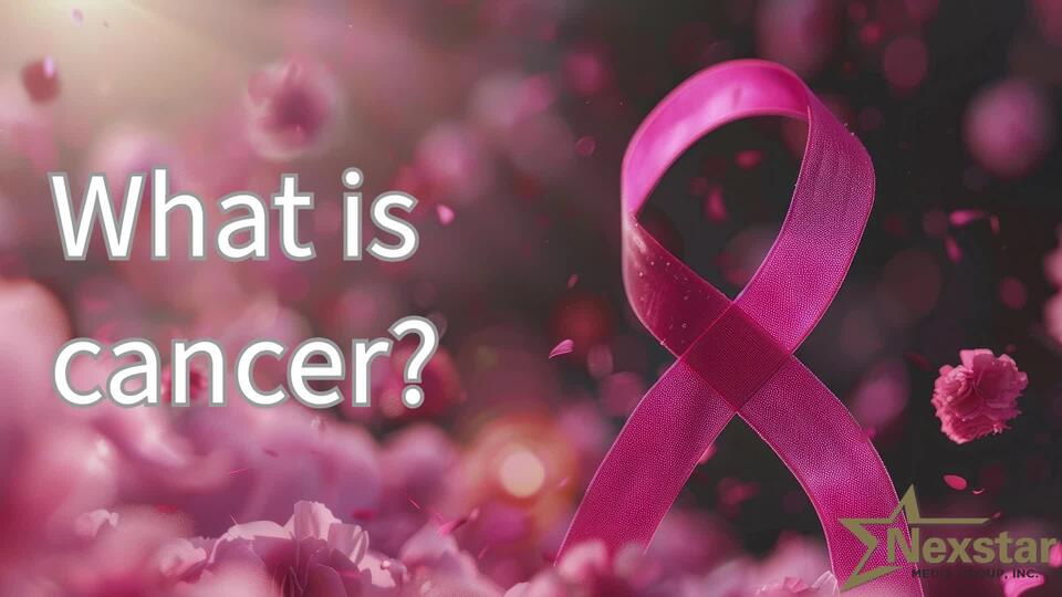 Jessie J reveals ‘early’ breast cancer diagnosis - NewsBreak