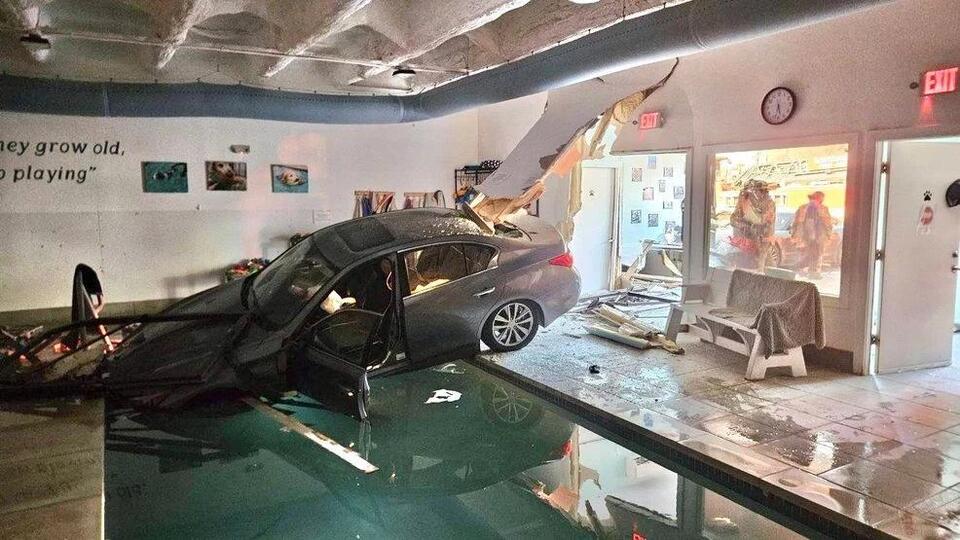 Driver hurt after car slams into Maryland dog daycare and lands in ...