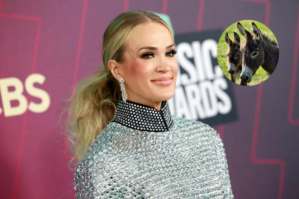 Carrie Underwood Just Introduced the &lsquo;Newest Members&rsquo; of Her Family and