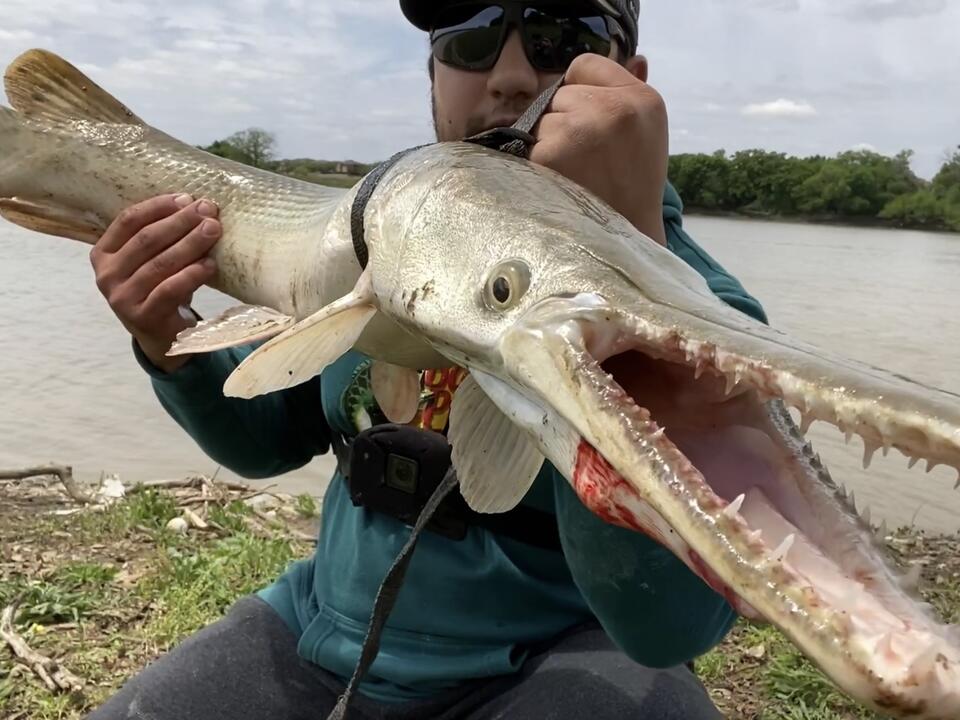 Fishing the Trinity River for alligator gar! BIGRICHFISH NewsBreak
