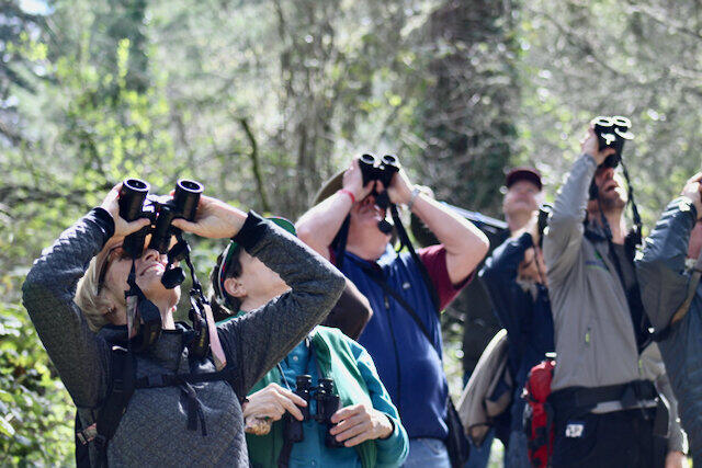 Nisqually birding notes