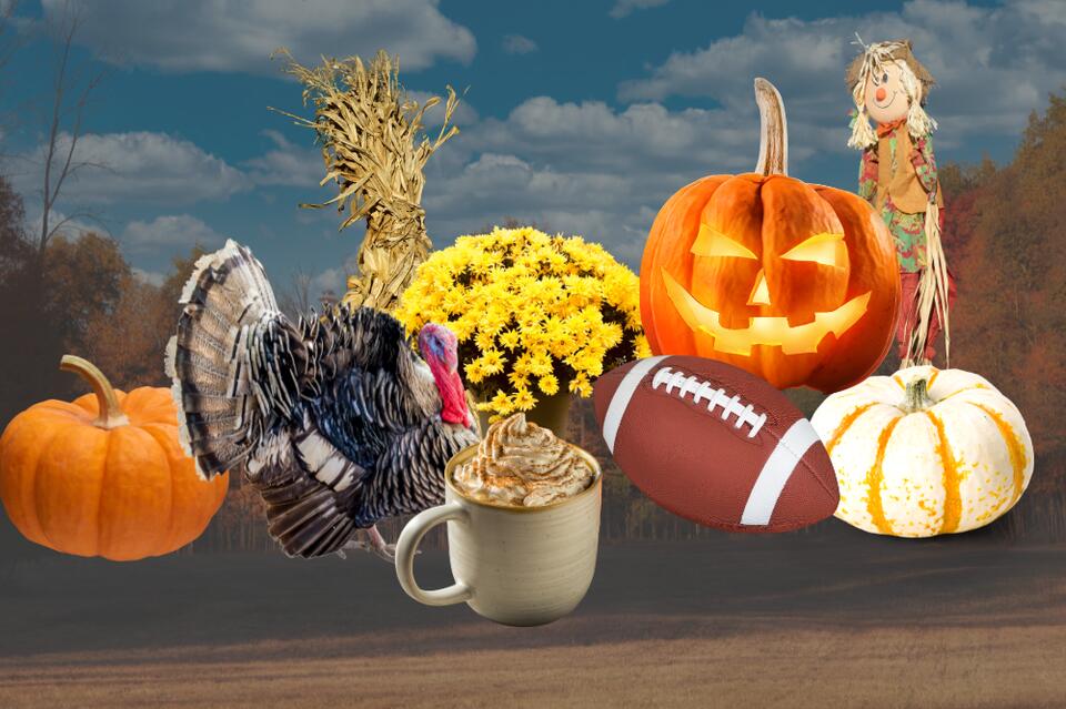 50+ Fall Festivals + Events to Check Out in Northern Virginia in 2026 ...