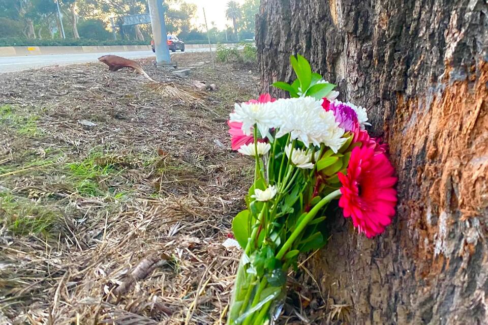 Oxnard Man Named as Victim in Fatal Highway 101 Crash in Santa Barbara ...