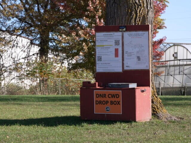 Shoot a deer in Kent County? Test it for CWD at this drop box