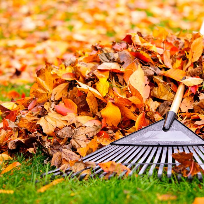 ⚠️ Belgrade fall yard waste cleanup Oct. 19–24 - NewsBreak