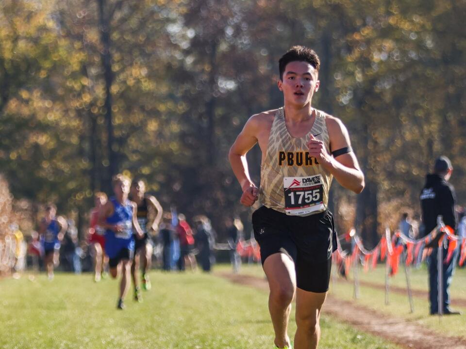 St. Francis, Findlay among boys cross country district champions