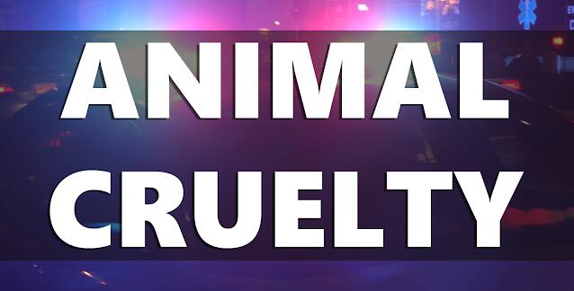 Pottsville Woman Wanted After Abandoned Dogs Found Starving and Frozen ...