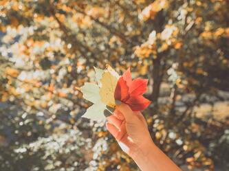 Coos Bay Weather Forecast