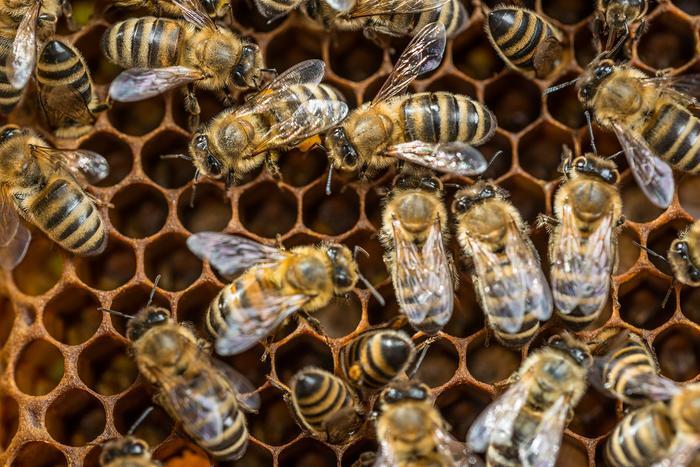 Plant protection products change the behaviour of non-target organisms ...