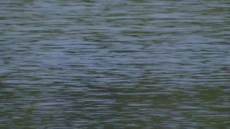 Body found off NH coast identified as 35-year-old Boston man - NewsBreak
