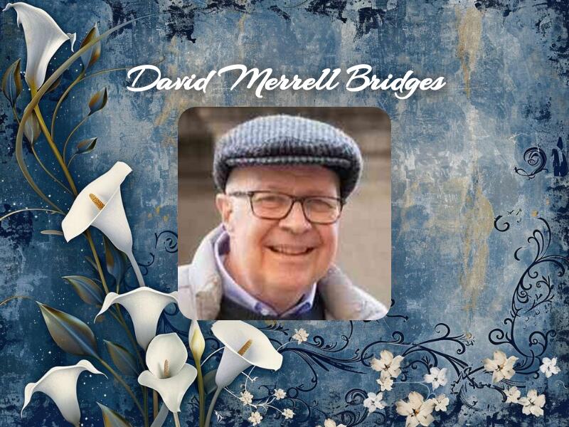 OBITUARY: David Merrell Bridges - NewsBreak