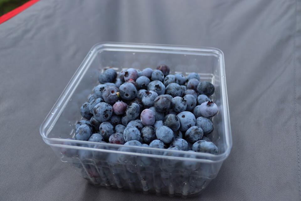 Top 10 Brain Foods That May Help Ward Off Dementia - NewsBreak