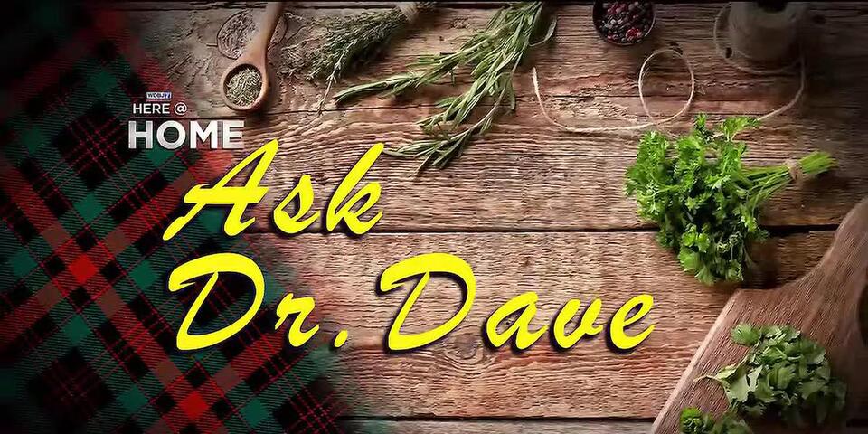 Dr. Dave offers holistic approaches to breast health - NewsBreak