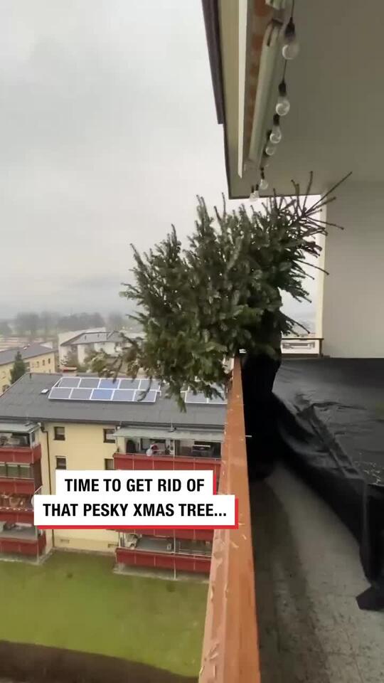 Thats one way of getting rid of your Christmas tree collab - NewsBreak