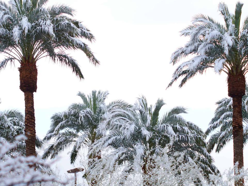 Does It Snow in Las Vegas? Discover Just How Rare It Is