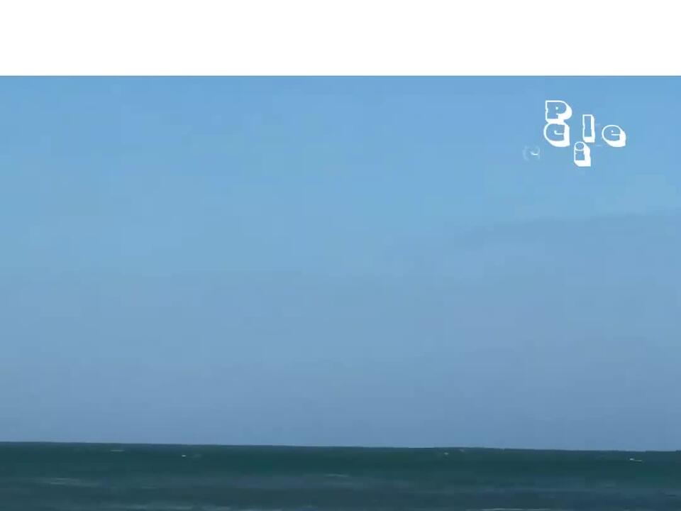 Surfer Dog Catches A Big Wave In The Ocean GoldenRetriever Dog