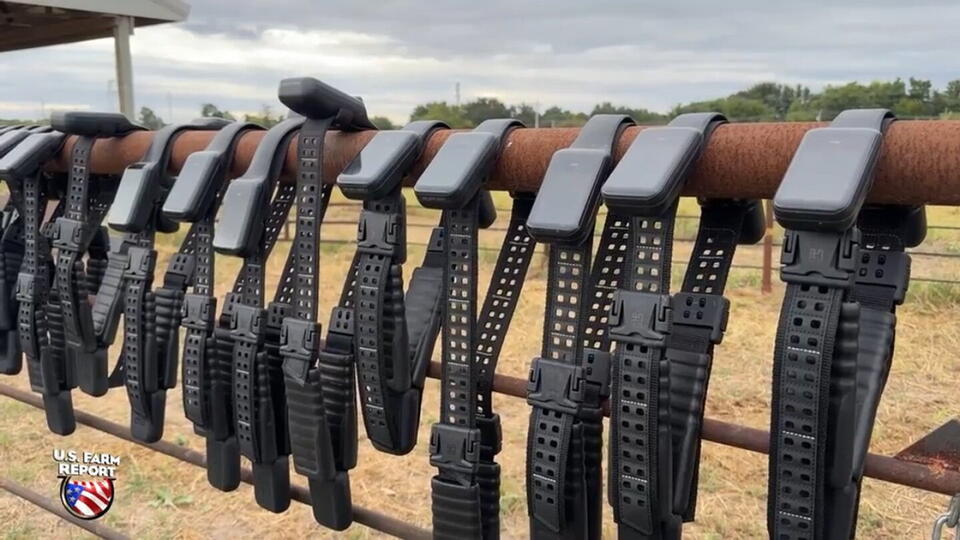 Could Virtual Fencing Make Intensive Grazing More Profitable?