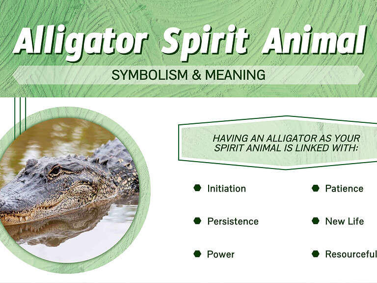 Alligator Spirit Animal Symbolism & Meaning