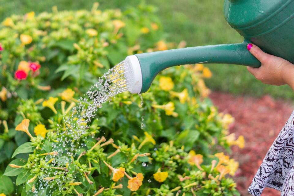 The Garden Hose Nozzle Setting That Wastes the Most Water Without You Noticing
