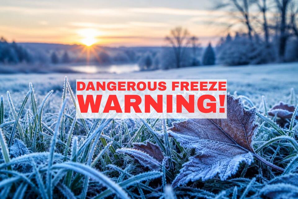 Dangerous Freeze Watch Warning for 3 Counties in California as ...