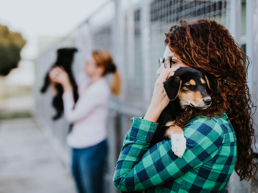 15 Organizations That Help With Vet Bills (2024 Update)