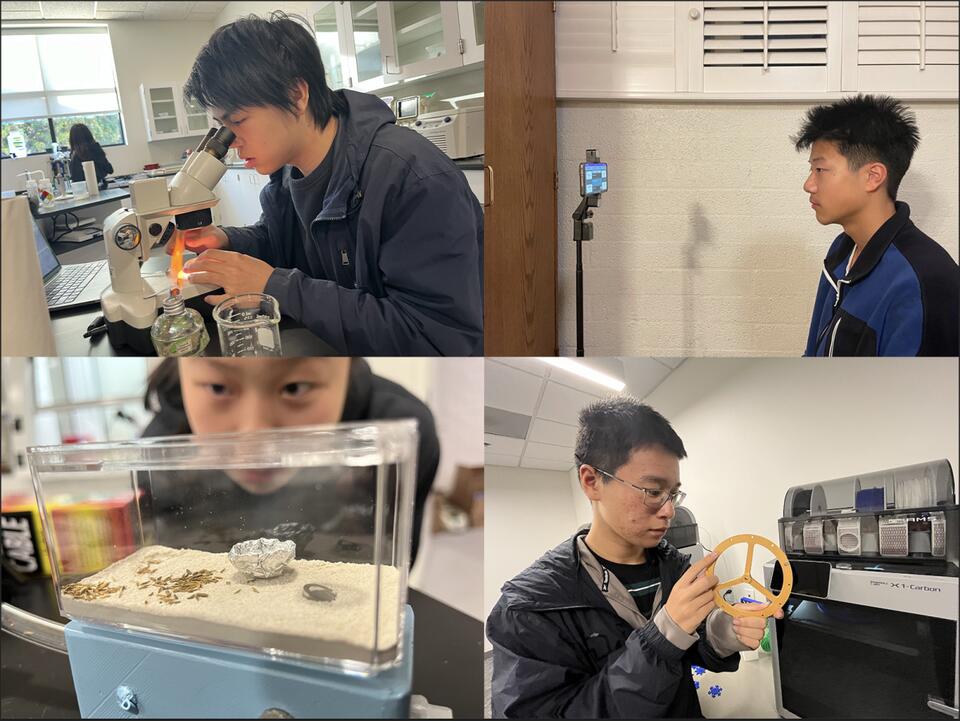 Webbies change the world in Science Fair Research Lab - NewsBreak