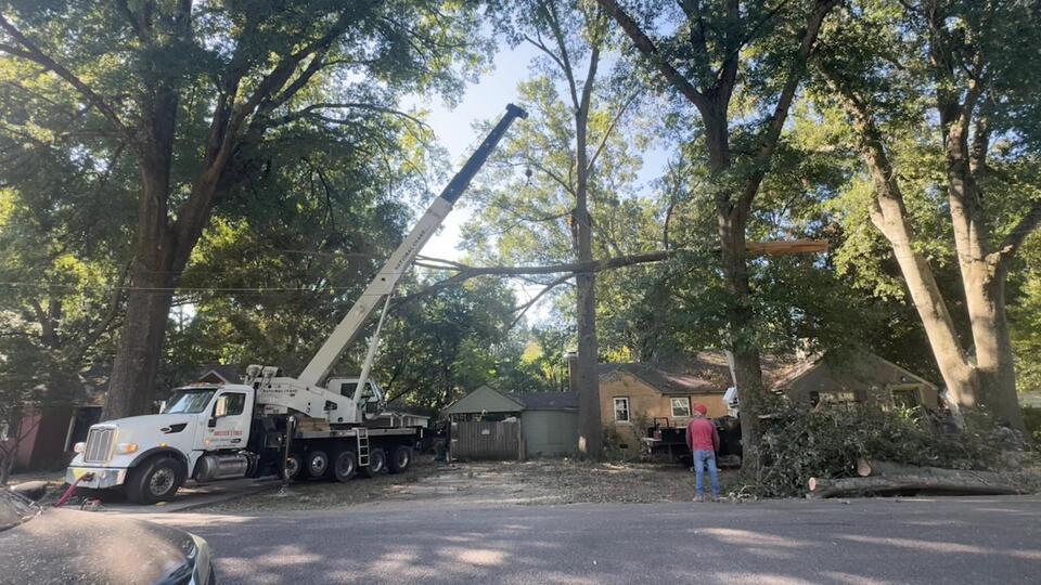 ‘Overflowing with gratitude': Memphis tree trimmers save family's home