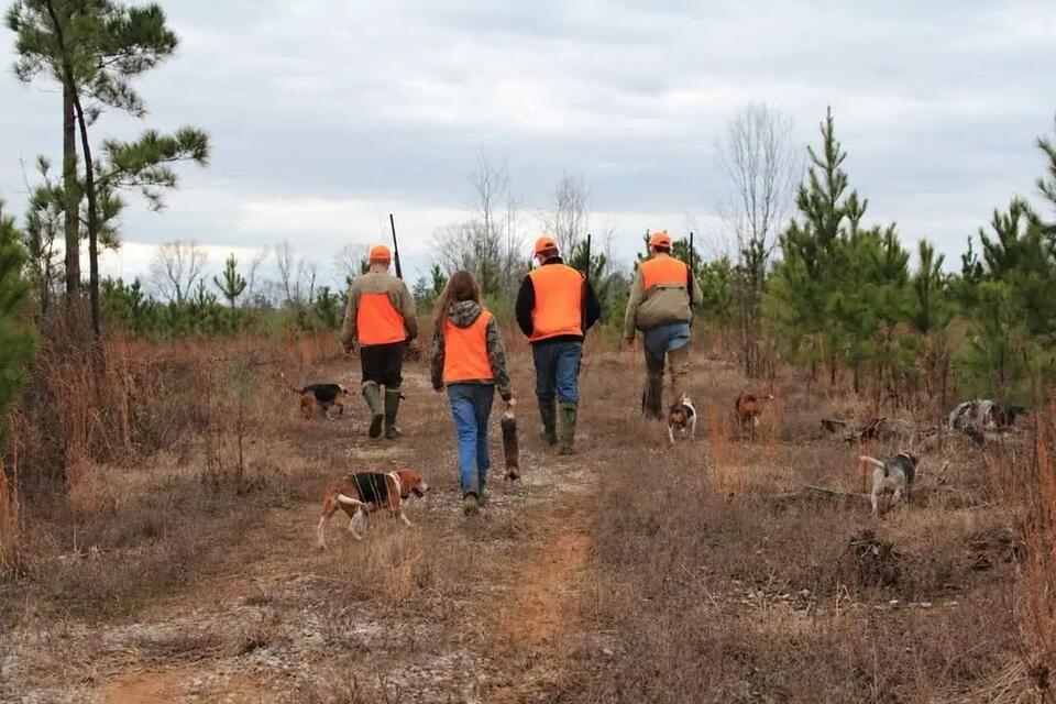 Rabbit season opens as burn bans and fire danger continue in ...