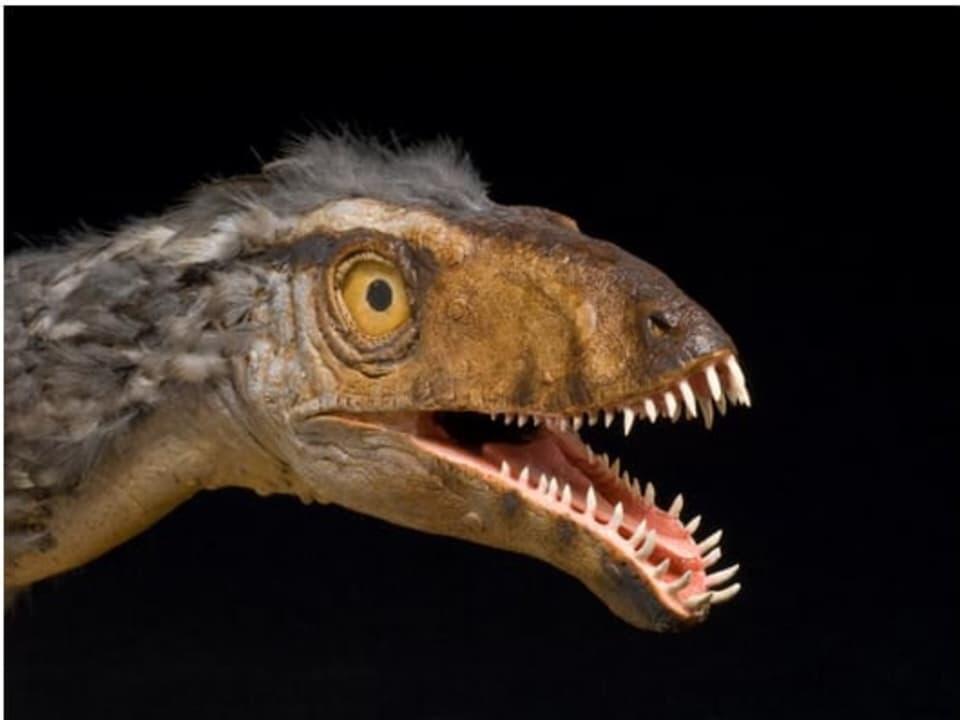 Drive Thru Dinosaur Exhibit Coming To Connecticut News Break