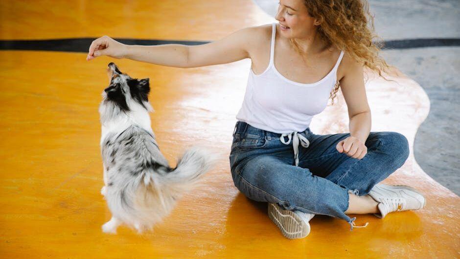 Picture of Psychology Says Dogs Remember Repeated Emotional Patterns for Years ...