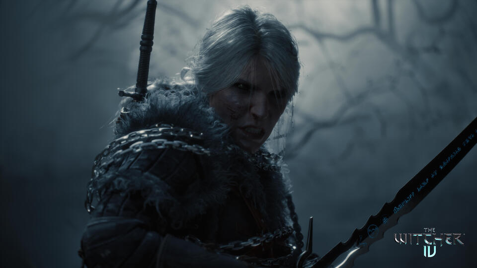 What are The Witcher 4 Pre Order Bonuses? - NewsBreak