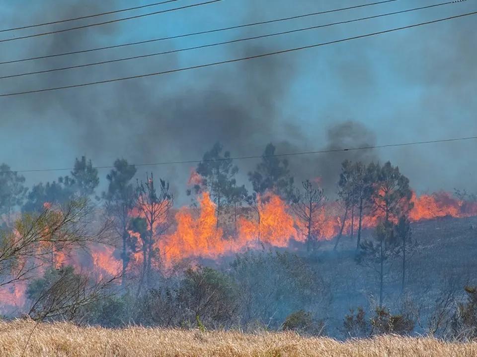 PHOTOS: Polk County fire burns 80 acres of grass and wooded area, PCFR says