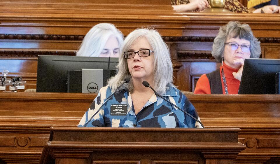 Kansas lawmakers hold back school potty training bill to allow time for ...