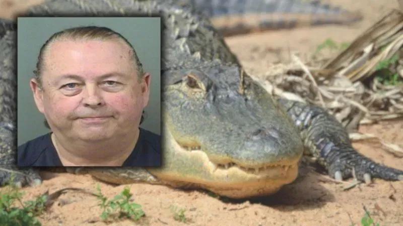 Dead alligator found with hammer in forehead, Jupiter man arrested ...